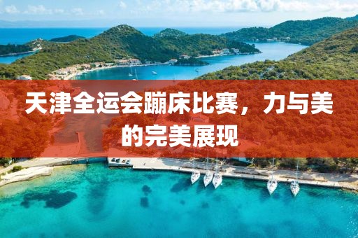 天津全运会蹦床比赛，力与美的完美展现