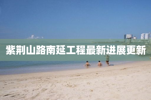 紫荆山路南延工程最新进展更新