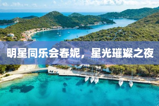 明星同乐会春妮，星光璀璨之夜