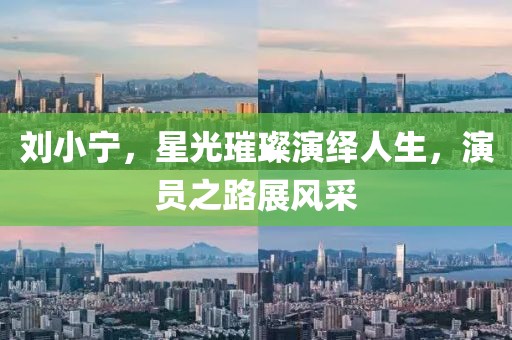 刘小宁，星光璀璨演绎人生，演员之路展风采