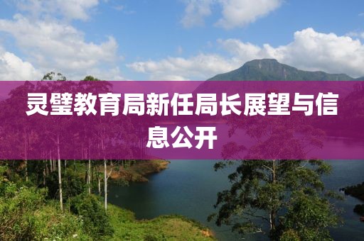 灵璧教育局新任局长展望与信息公开