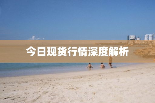 今日现货行情深度解析