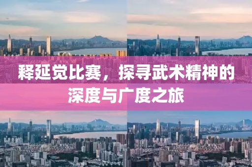 释延觉比赛，探寻武术精神的深度与广度之旅