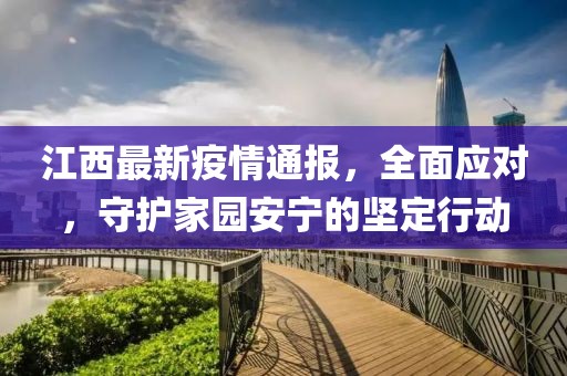 江西最新疫情通报，全面应对，守护家园安宁的坚定行动