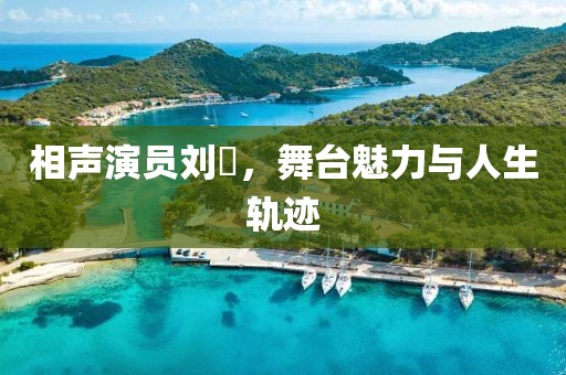 相声演员刘喆，舞台魅力与人生轨迹