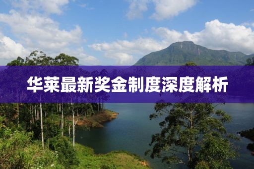 华莱最新奖金制度深度解析