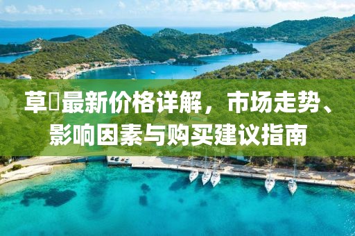 草菓最新价格详解，市场走势、影响因素与购买建议指南
