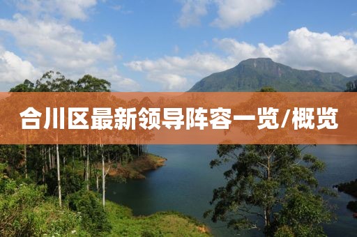 合川区最新领导阵容一览/概览