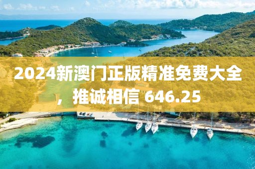 2024新澳门正版精准免费大全，推诚相信 646.25