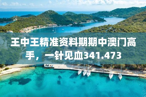 王中王精准资料期期中澳门高手，一针见血341.473
