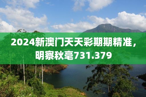 2024新澳门天天彩期期精准，明察秋毫731.379