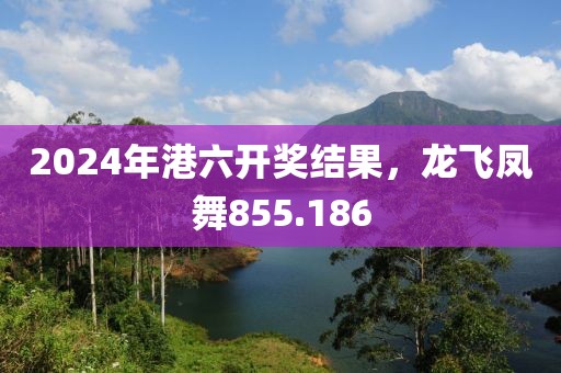 2024年港六开奖结果，龙飞凤舞855.186