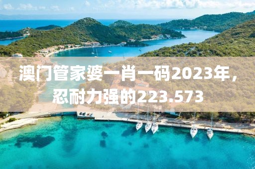 澳门管家婆一肖一码2023年，忍耐力强的223.573