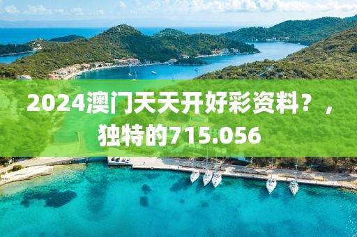 2024澳门天天开好彩资料？，独特的715.056