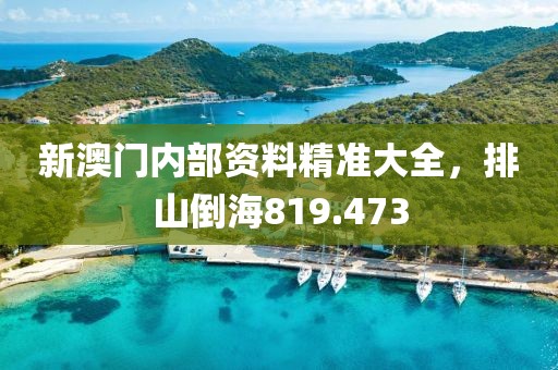 新澳门内部资料精准大全，排山倒海819.473