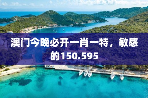 澳门今晚必开一肖一特，敏感的150.595