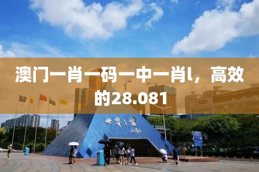 澳门一肖一码一中一肖l，高效的28.081
