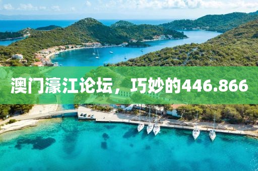 澳门濠江论坛，巧妙的446.866
