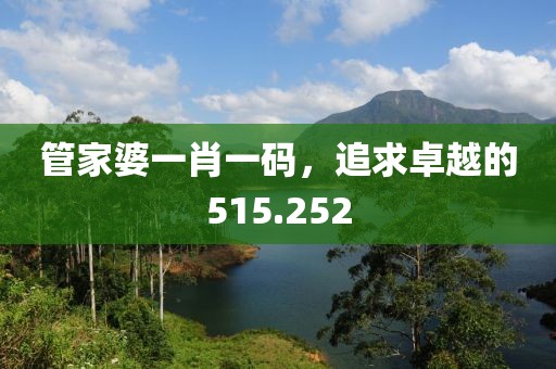 管家婆一肖一码，追求卓越的515.252