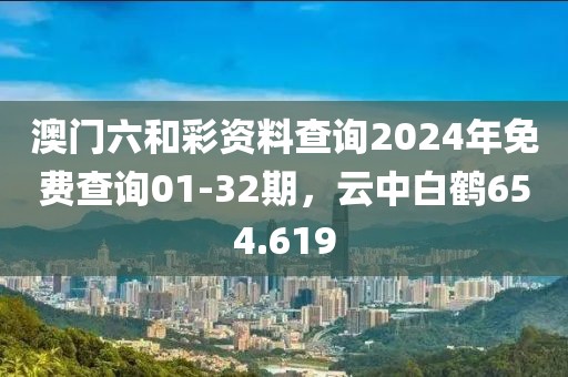 澳门六和彩资料查询2024年免费查询01-32期，云中白鹤654.619