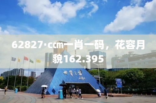 62827·c㎝一肖一码，花容月貌162.395