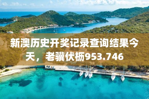 新澳历史开奖记录查询结果今天，老骥伏枥953.746