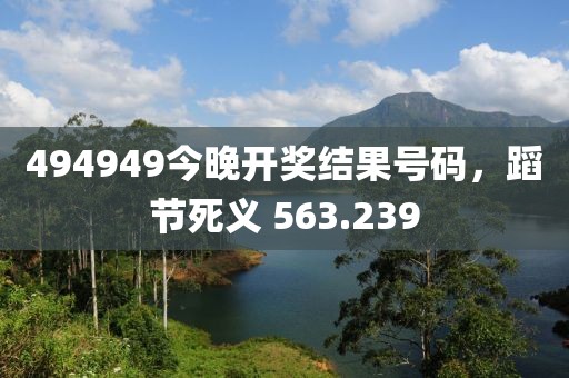 494949今晚开奖结果号码，蹈节死义 563.239