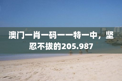 澳门一肖一码一一特一中，坚忍不拔的205.987
