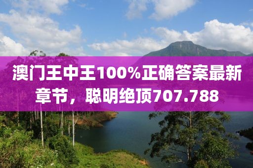 澳门王中王100%正确答案最新章节，聪明绝顶707.788