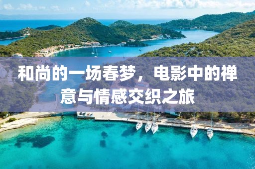 和尚的一场春梦，电影中的禅意与情感交织之旅