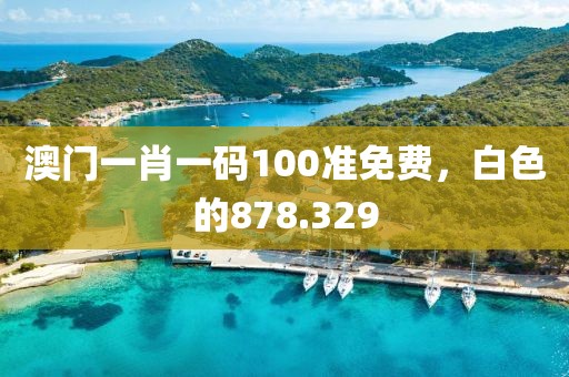 澳门一肖一码100准免费，白色的878.329