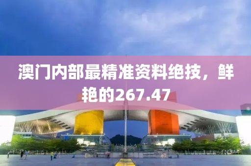 澳门内部最精准资料绝技，鲜艳的267.47