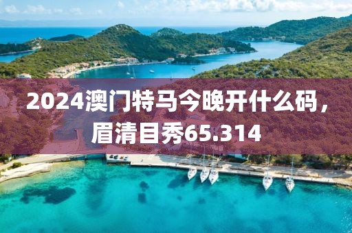 2024澳门特马今晚开什么码，眉清目秀65.314