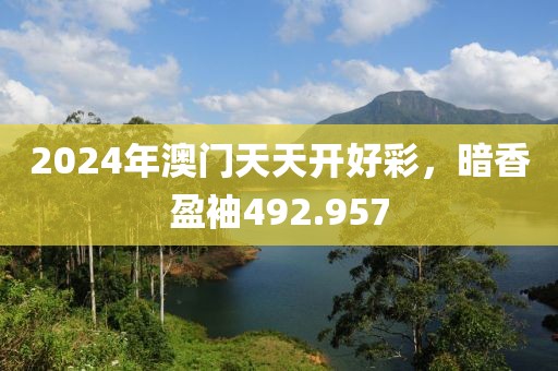 2024年澳门天天开好彩，暗香盈袖492.957