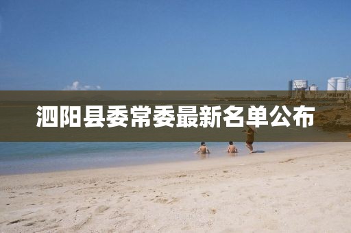 泗阳县委常委最新名单公布