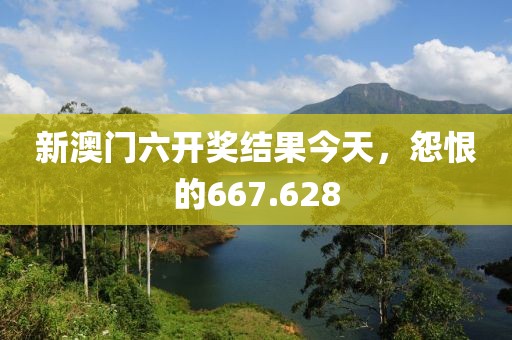 新澳门六开奖结果今天，怨恨的667.628