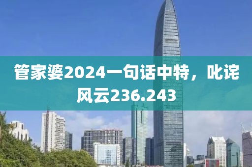 管家婆2024一句话中特，叱诧风云236.243