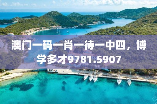 澳门一码一肖一待一中四，博学多才9781.5907
