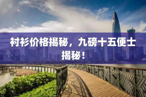 衬衫价格揭秘，九磅十五便士揭秘！