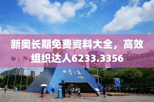 新奥长期免费资料大全，高效组织达人6233.3356