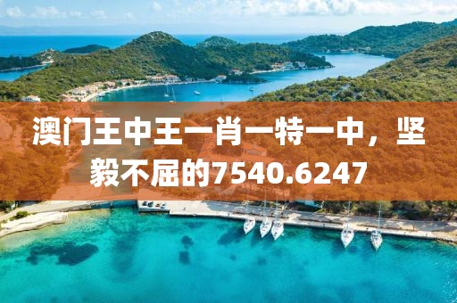 澳门王中王一肖一特一中，坚毅不屈的7540.6247