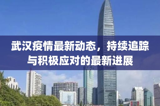 武汉疫情最新动态，持续追踪与积极应对的最新进展