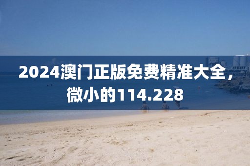 2024澳门正版免费精准大全，微小的114.228