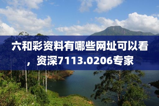 六和彩资料有哪些网址可以看，资深7113.0206专家
