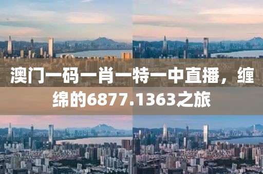 澳门一码一肖一特一中直播，缠绵的6877.1363之旅