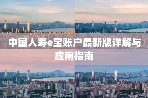 中国人寿e宝账户最新版详解与应用指南