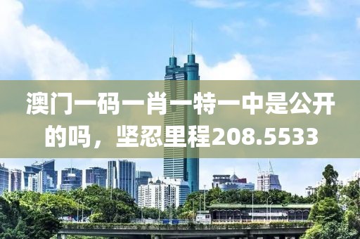 澳门一码一肖一特一中是公开的吗，坚忍里程208.5533