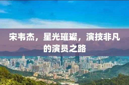 宋韦杰，星光璀璨，演技非凡的演员之路