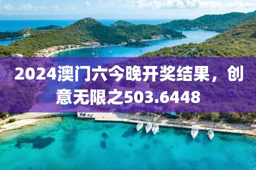 2024澳门六今晚开奖结果，创意无限之503.6448