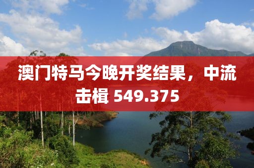 澳门特马今晚开奖结果，中流击楫 549.375